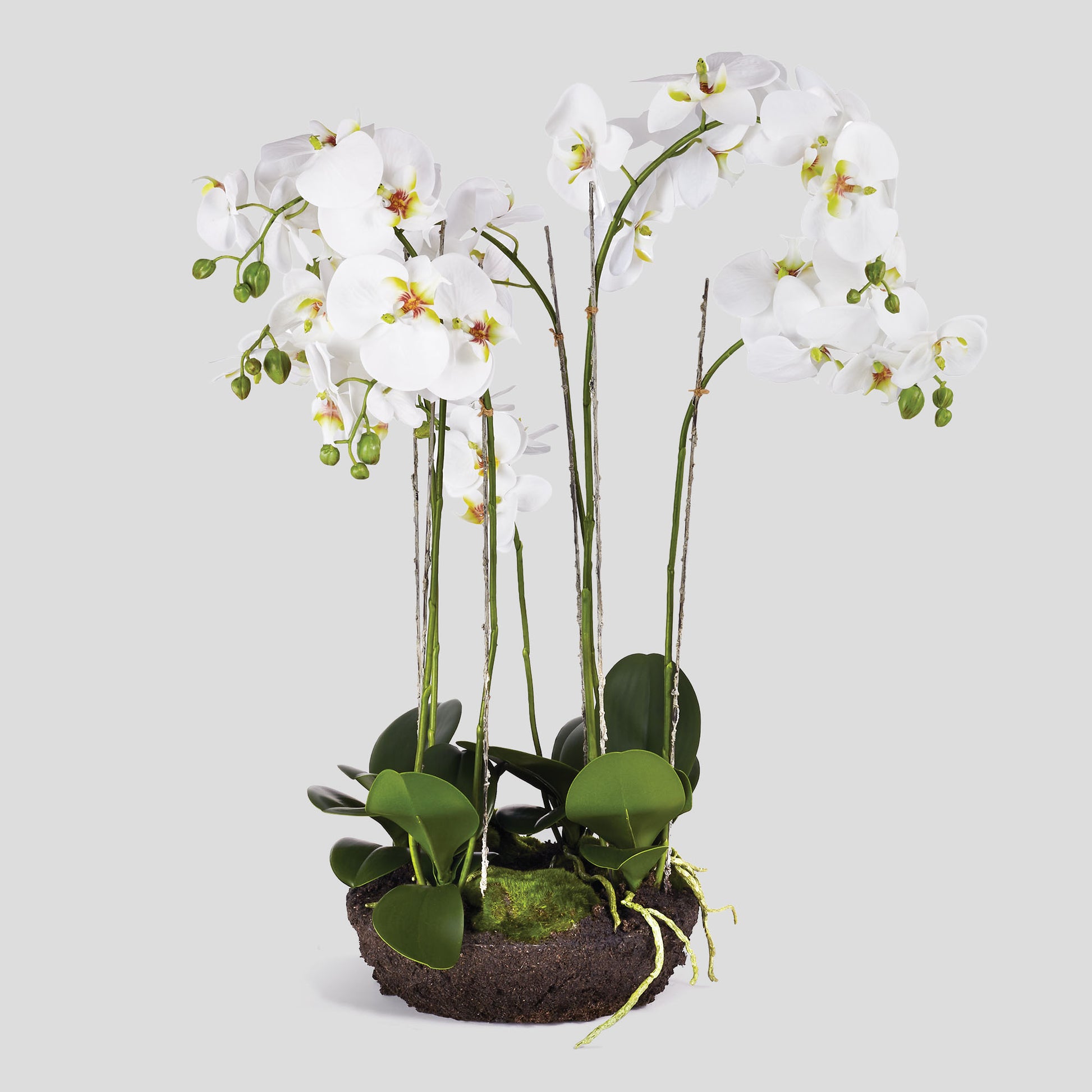 Faux white phalaenopsis orchid bowl drop-in 32 inch - stylish home accent (Image1).