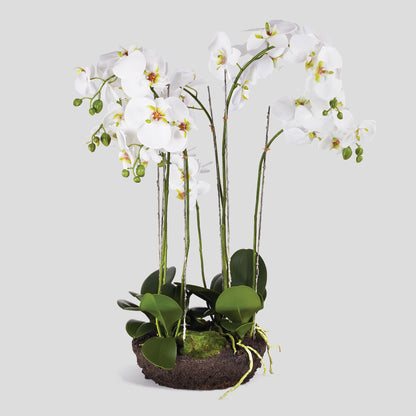 Faux white phalaenopsis orchid bowl drop-in 32 inch - stylish home accent (Image1).