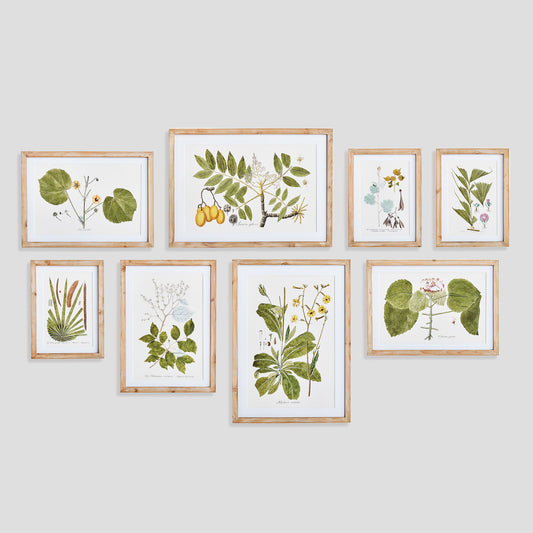 Gallery wall art set of green botanicals laid out horizontally.
