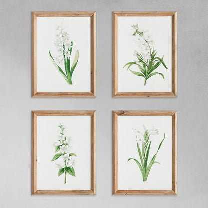 Garden bloom prints (set of 4) - stylish home accent (Image1).