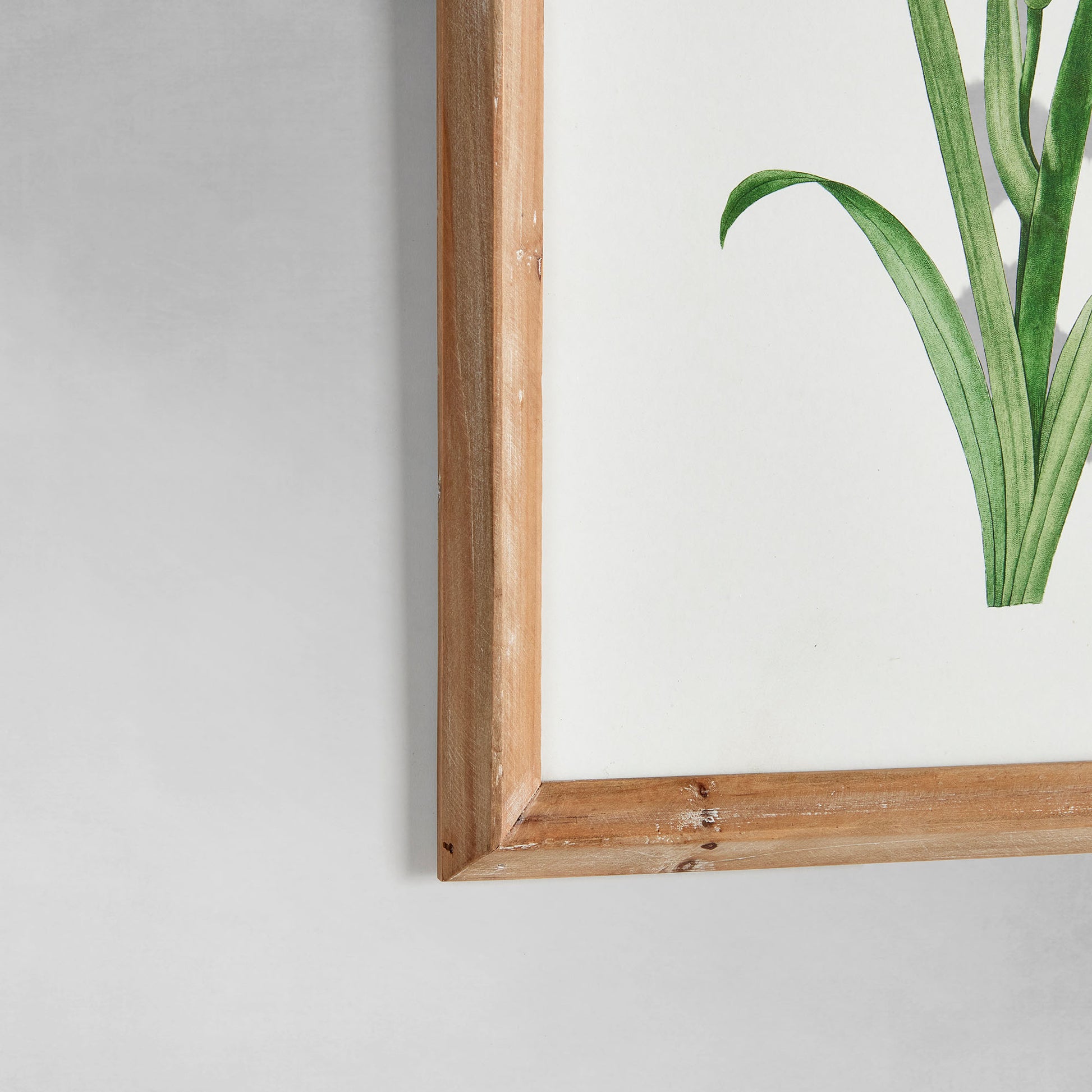 Garden bloom prints (set of 4) - stylish home accent (Image2).