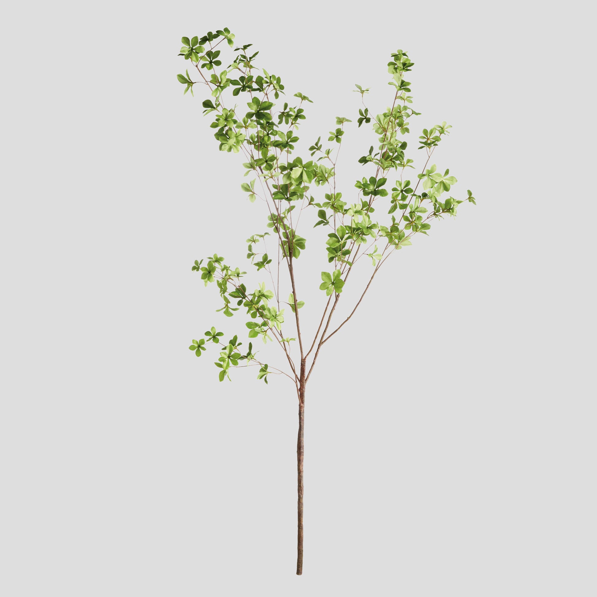 Green faux black olive branches (set of 2) - stylish home accent (Image1).