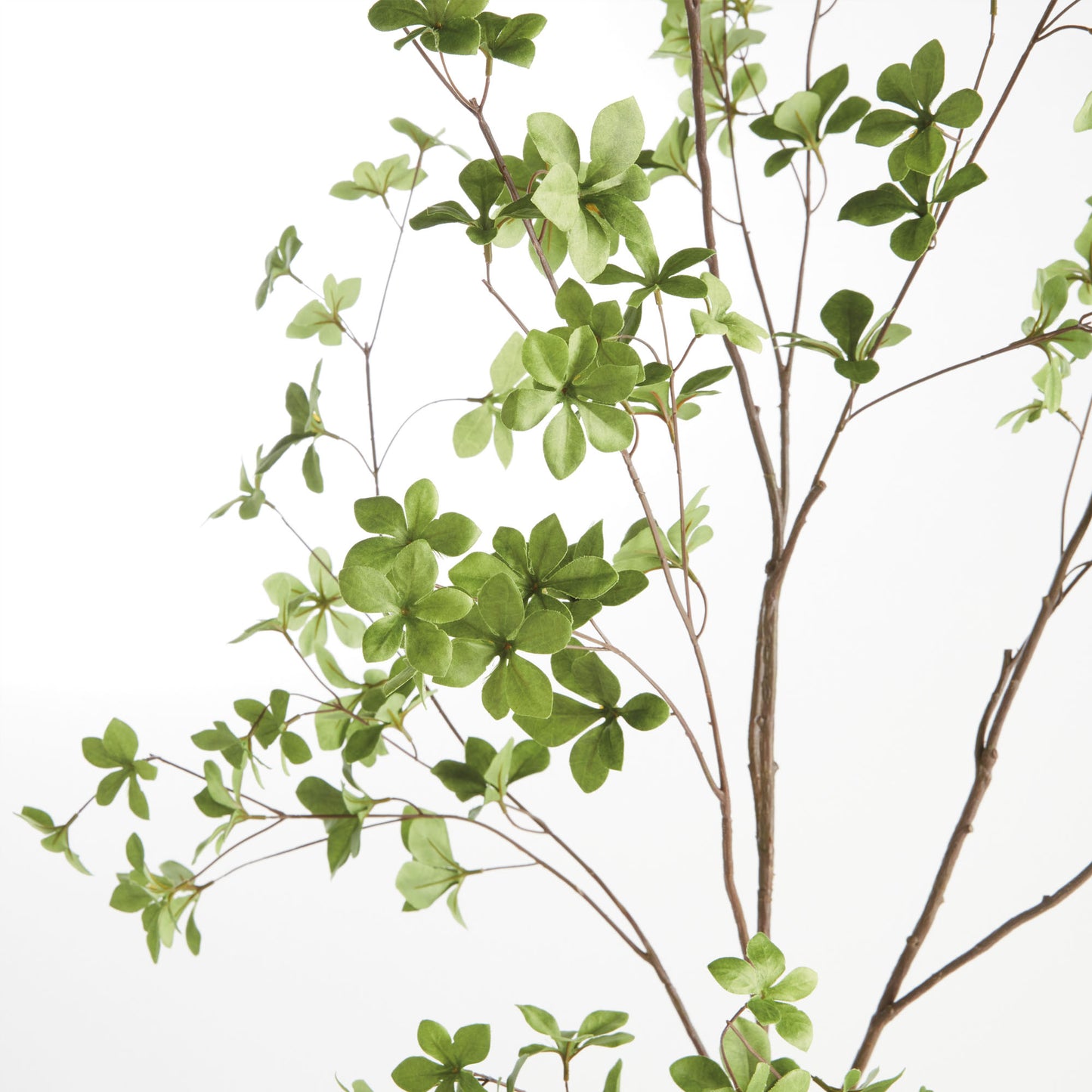 Green faux black olive branches (set of 2) - stylish home accent (Image5).