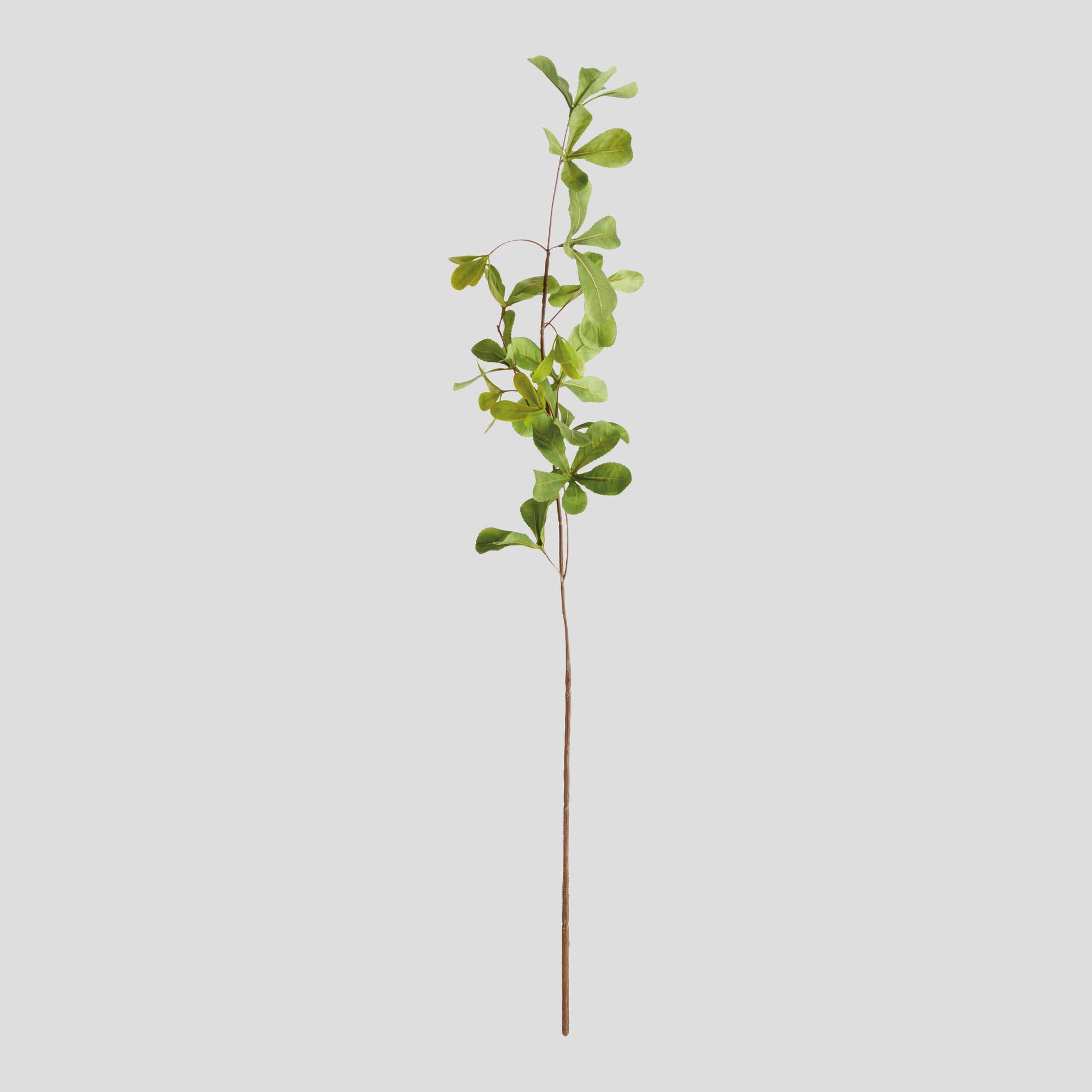 Green faux black olive stems (set of 4) - stylish home accent (Image1).