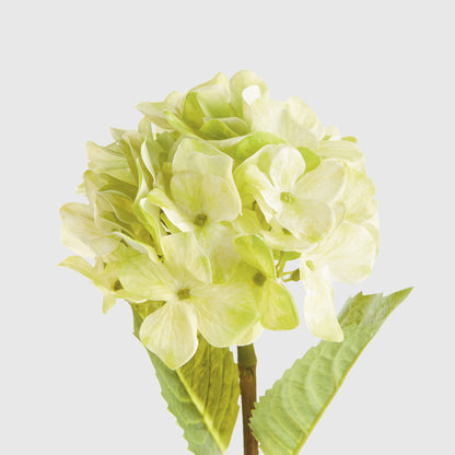 Green faux hydrangea stems (set of 6) - stylish home accent (Image3).