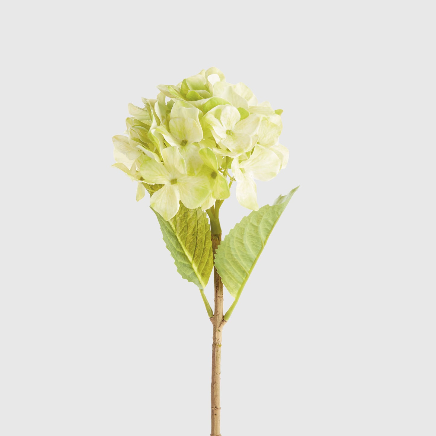 Green faux hydrangea stems (set of 6) - stylish home accent (Image4).