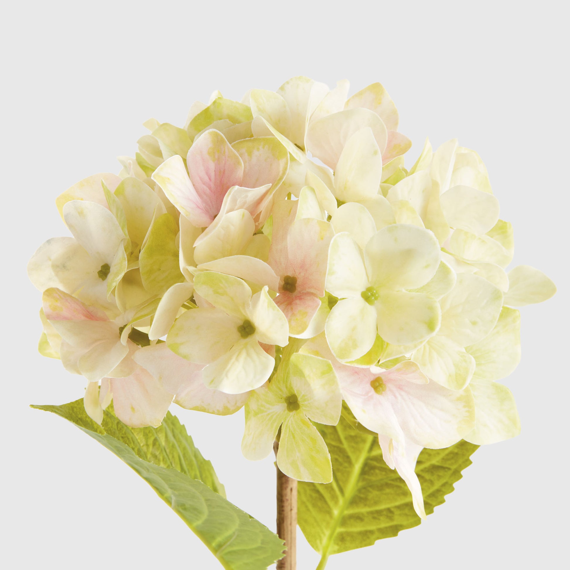 Green faux hydrangea stems (set of 6) - stylish home accent (Image7).