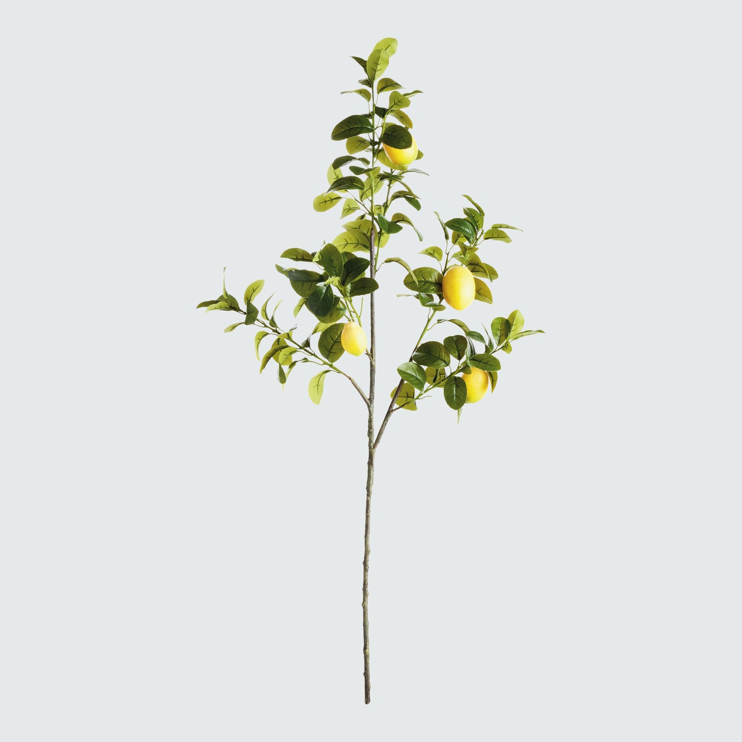 Green faux lemon branches (set of 2) - stylish home accent (Image1).