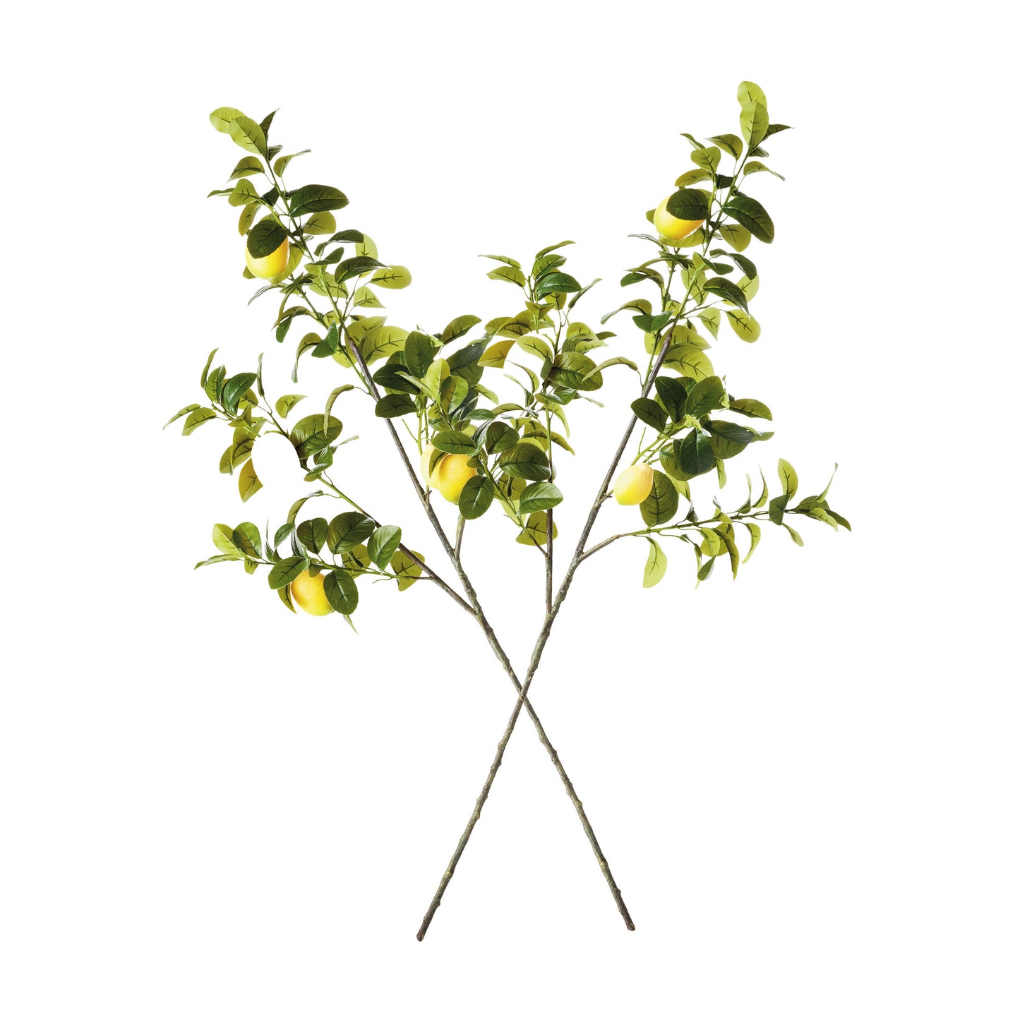 Green faux lemon branches (set of 2) - stylish home accent (Image2).