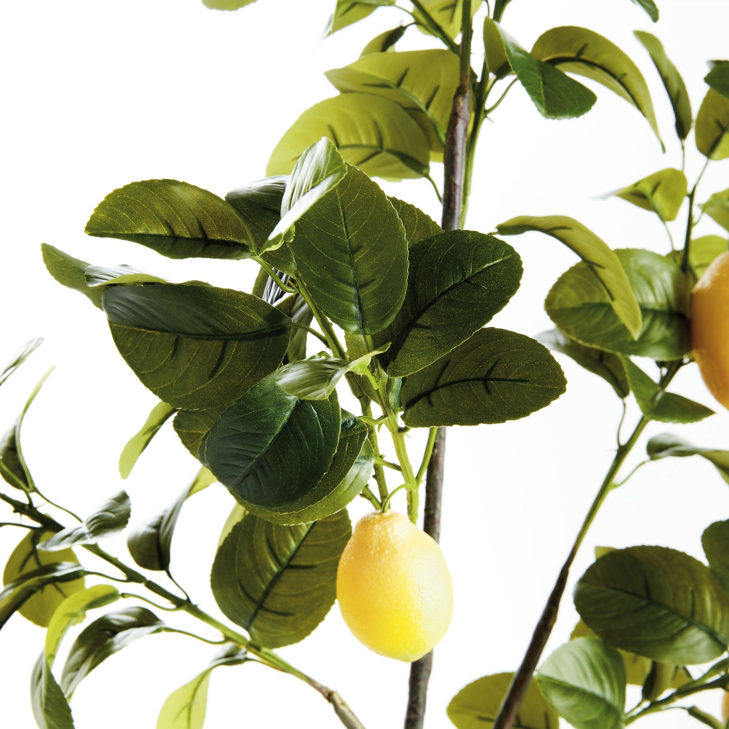 Green faux lemon branches (set of 2) - stylish home accent (Image3).