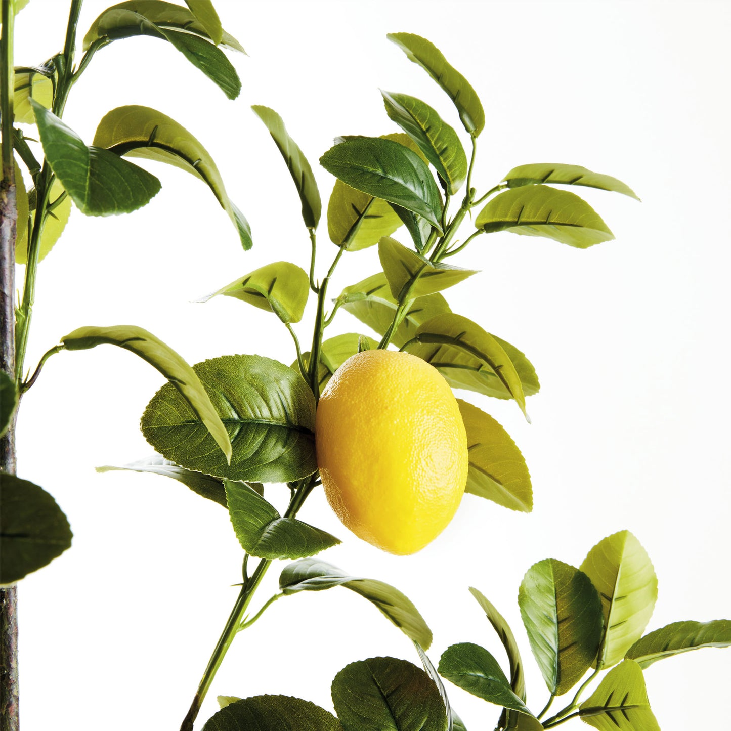 Green faux lemon branches (set of 2) - stylish home accent (Image4).