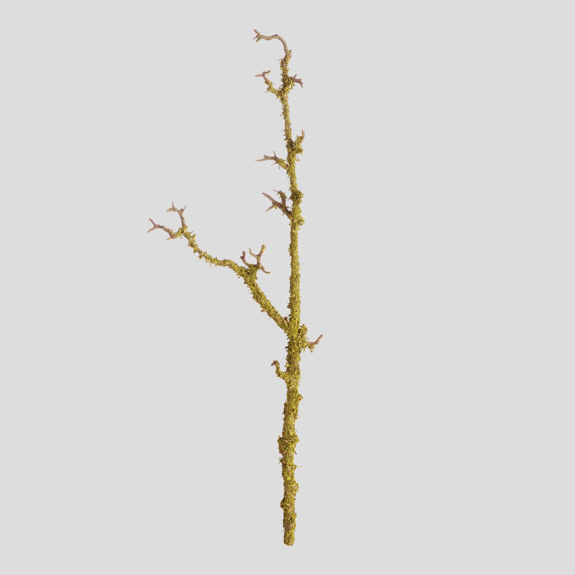 Green faux lichen branches (set of 2) - stylish home accent (Image1).