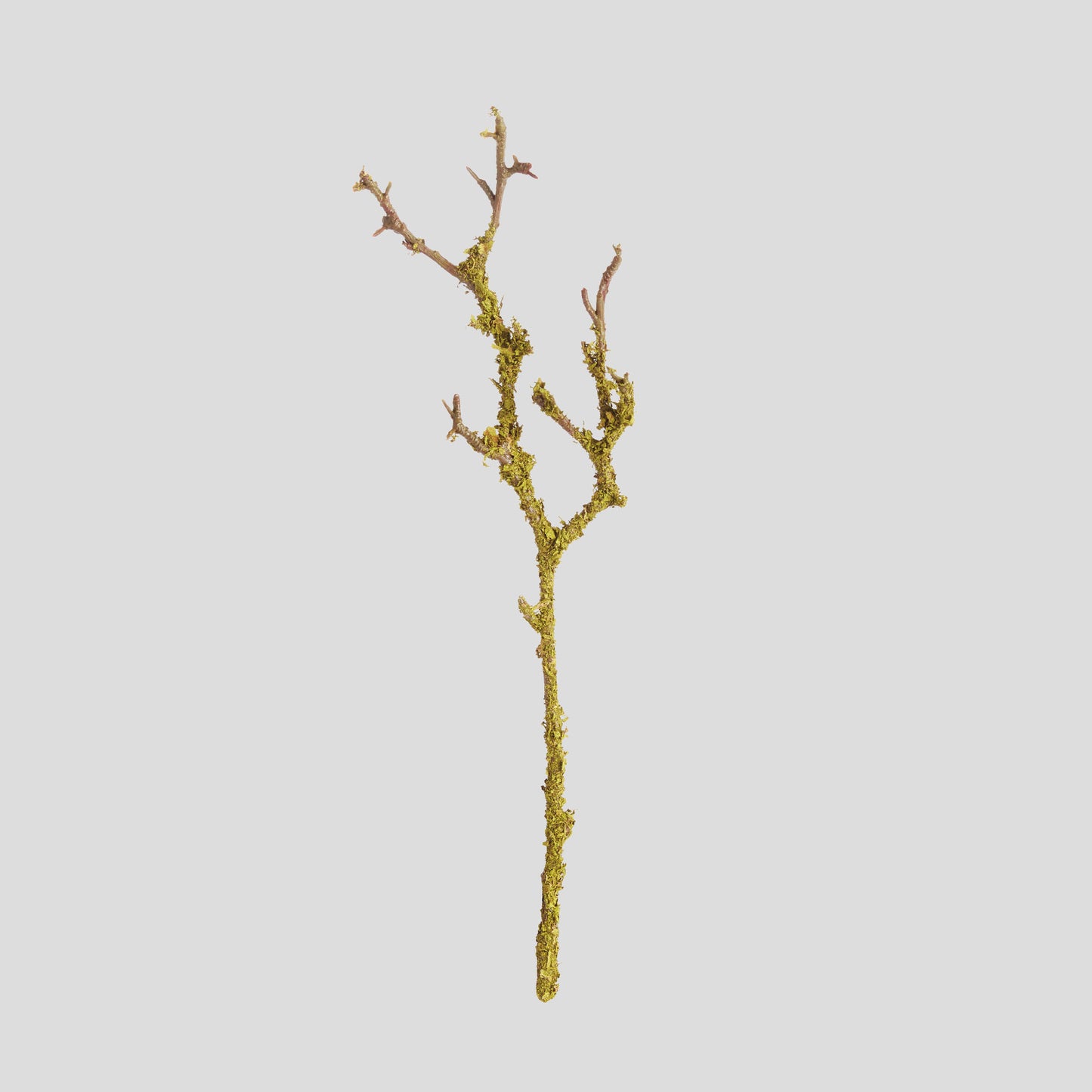 Green faux lichen branches (set of 6) - stylish home accent (Image1).