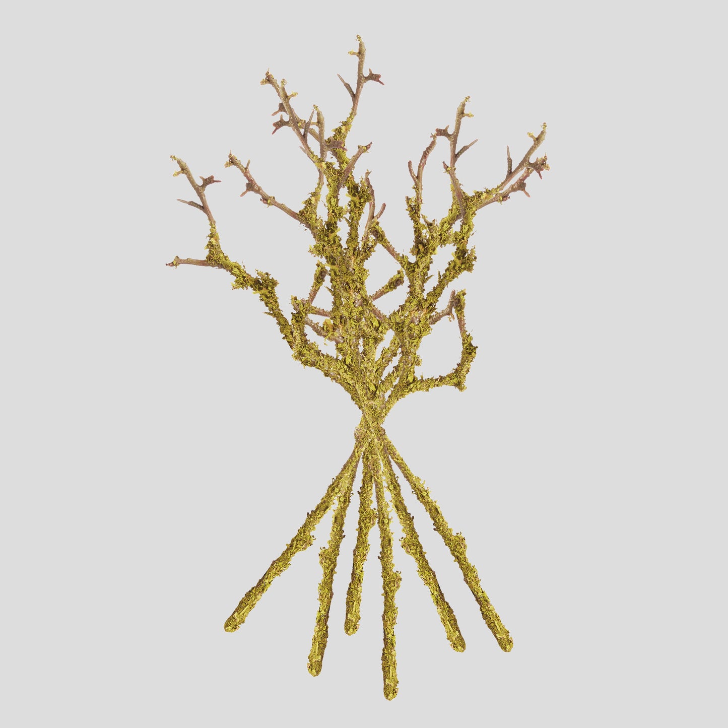 Green faux lichen branches (set of 6) - stylish home accent (Image2).