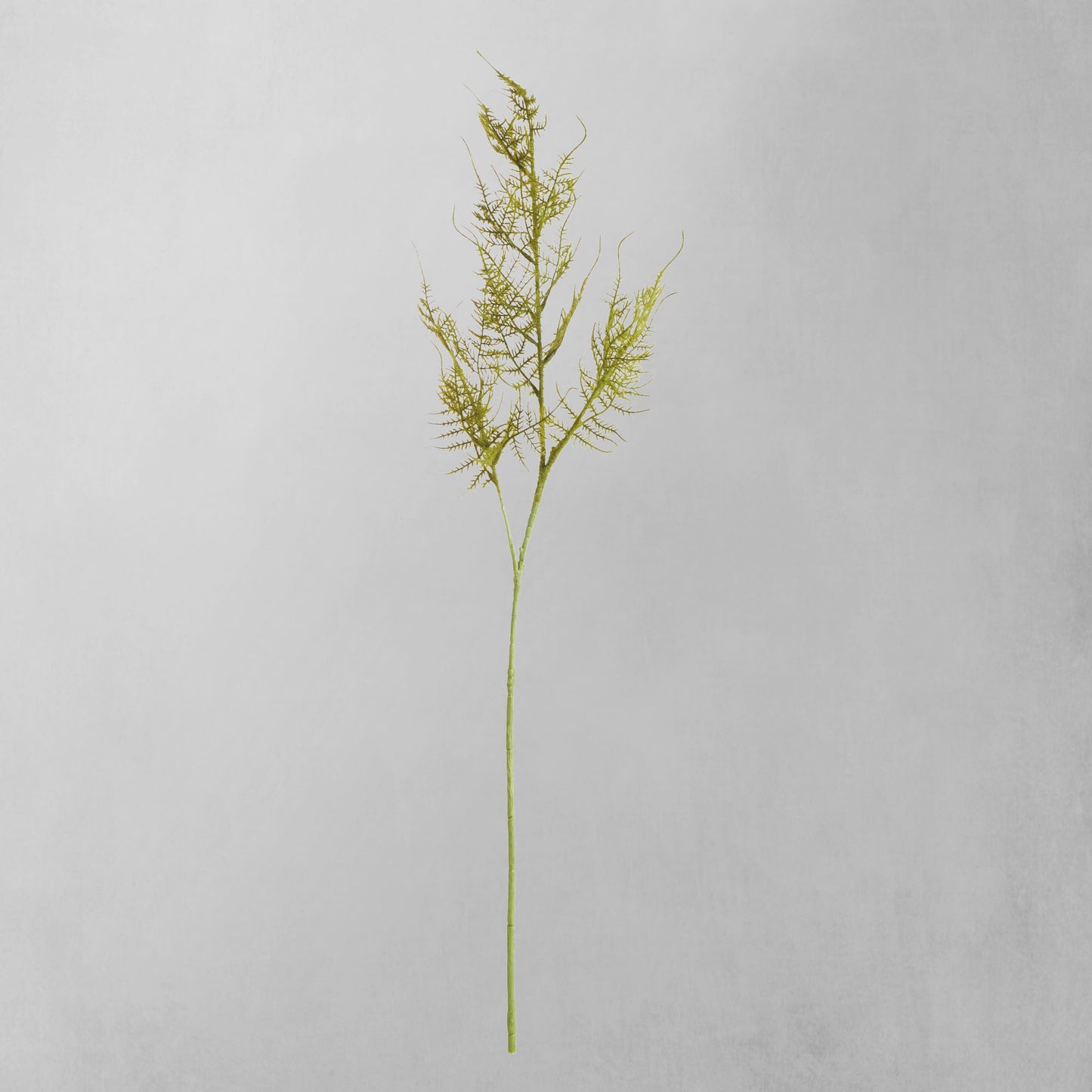 Green faux plumosa stems (set of 6) - stylish home accent (Image1).