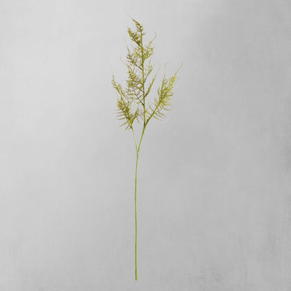 Green faux plumosa stems (set of 6) - stylish home accent (Image1).