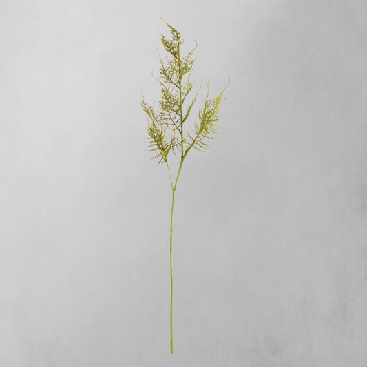 Green faux plumosa stems (set of 6) - stylish home accent (Image1).