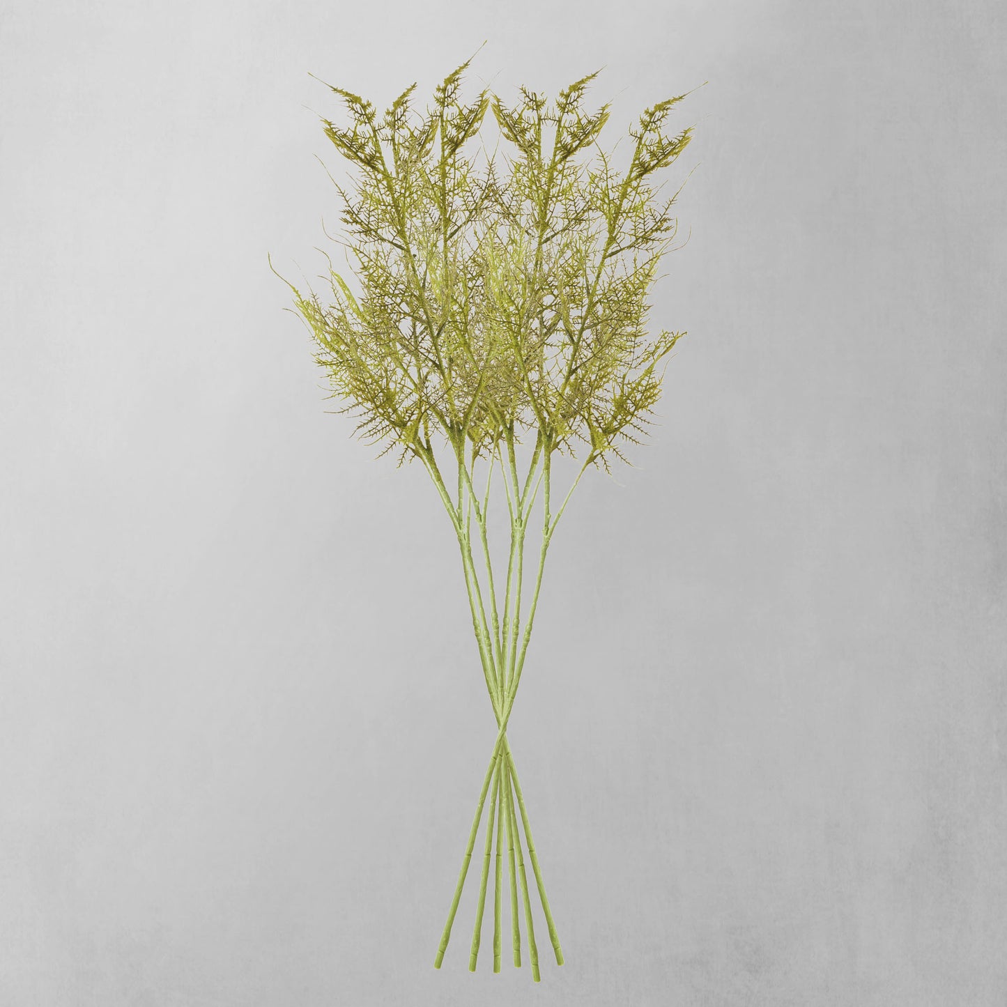 Green faux plumosa stems (set of 6) - stylish home accent (Image3).