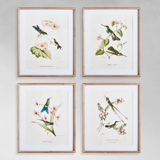 Hummingbird gallery wall art set with gray background.