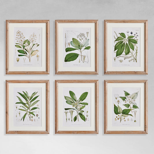 Leaf and flower gallery wall art set on gray wall.