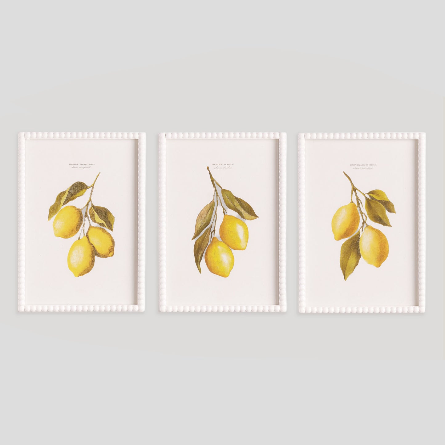 Lemon cuttings white wood framed wall art (set of 3) - stylish home accent (Image1).