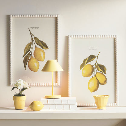 Lemon cuttings white wood framed wall art (set of 3) - stylish home accent (Image4).