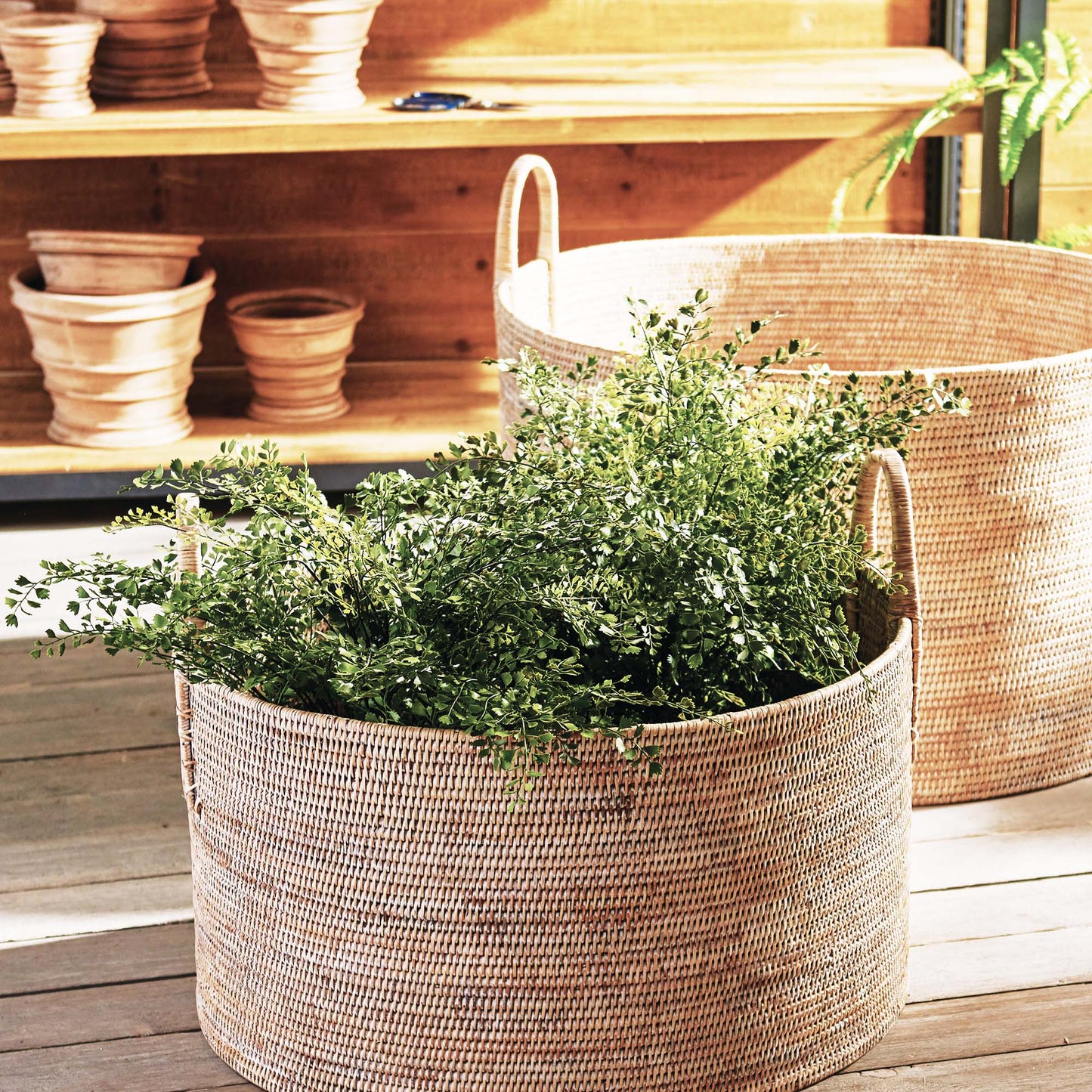 Maidenhair fern faux floral drop-in, stylized in woven basket.