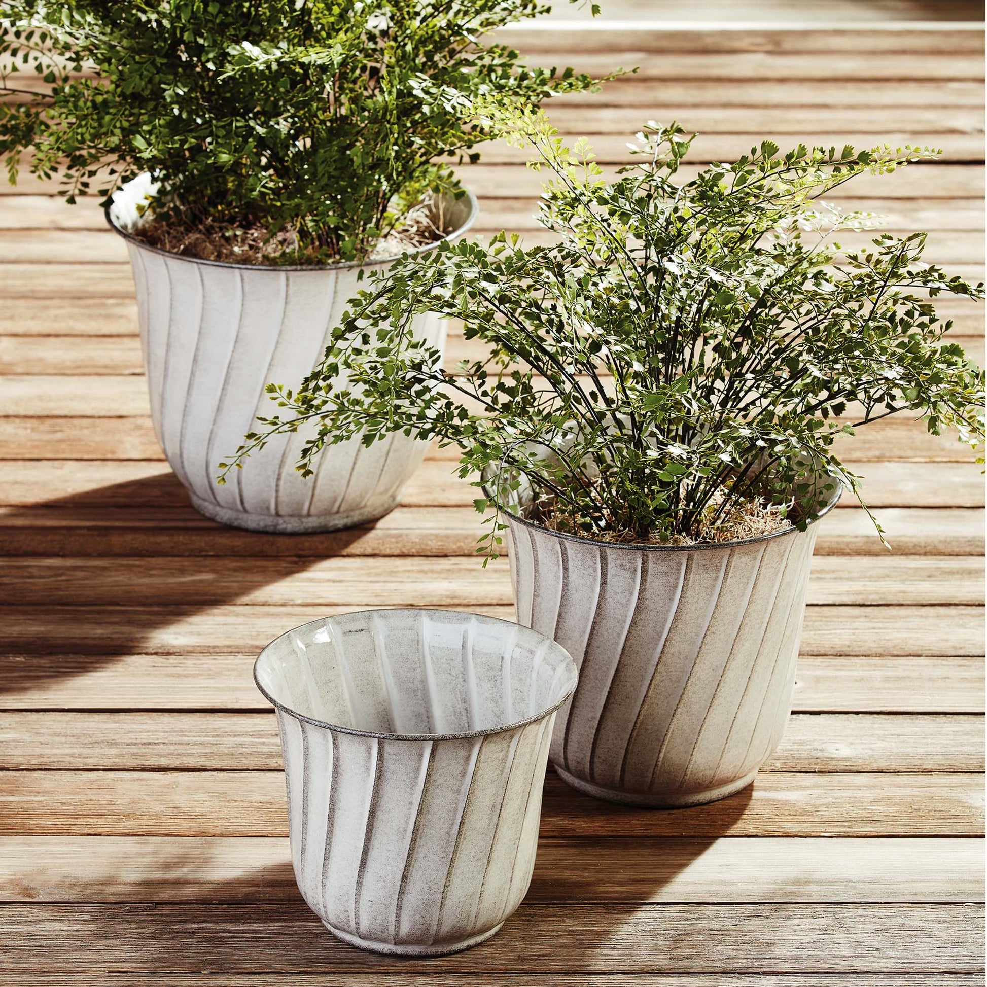 Maidenhair fern faux floral drop-in stylized in ceramic pot.