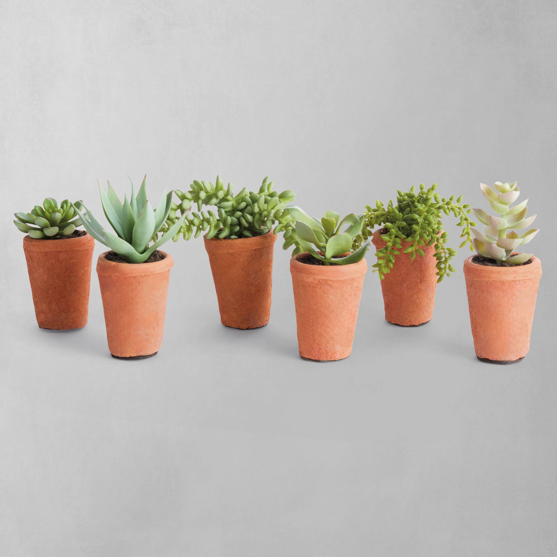 Mini green faux succulent pots (set of 6) - stylish home accent (Image1).