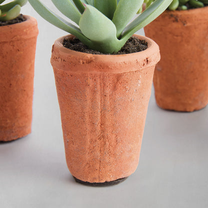 Mini green faux succulent pots (set of 6) - stylish home accent (Image2).