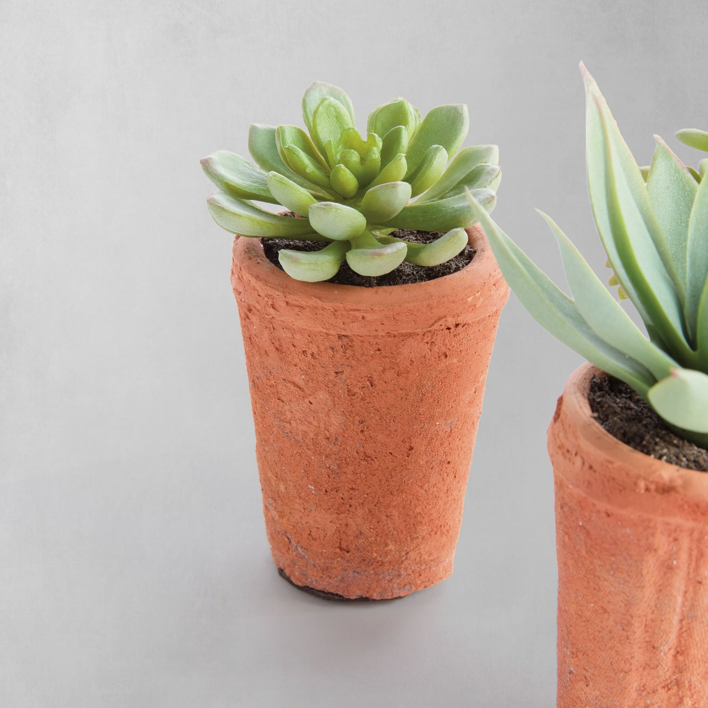 Mini green faux succulent pots (set of 6) - stylish home accent (Image3).