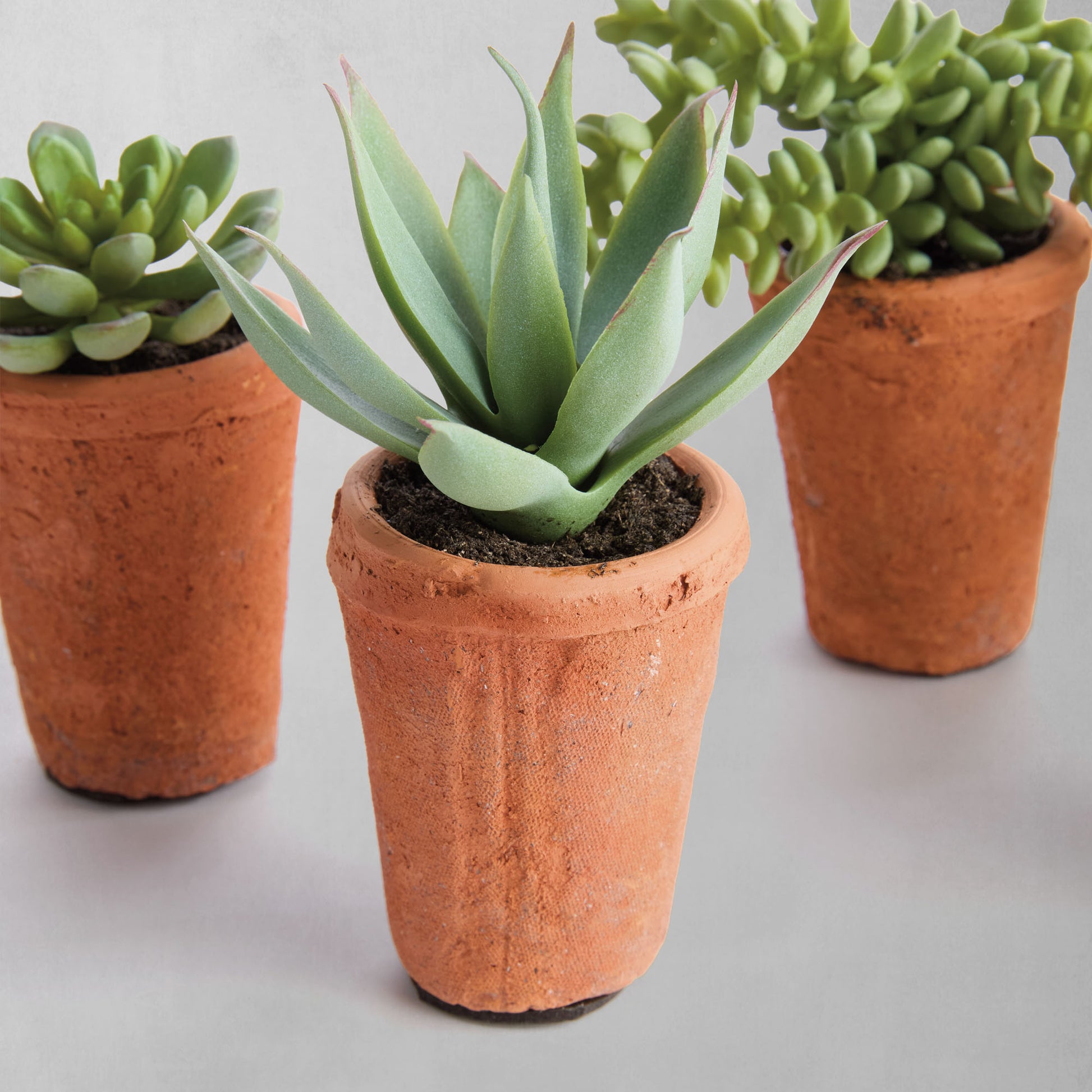 Mini green faux succulent pots (set of 6) - stylish home accent (Image4).