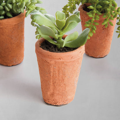 Mini green faux succulent pots (set of 6) - stylish home accent (Image5).