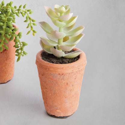Mini green faux succulent pots (set of 6) - stylish home accent (Image6).