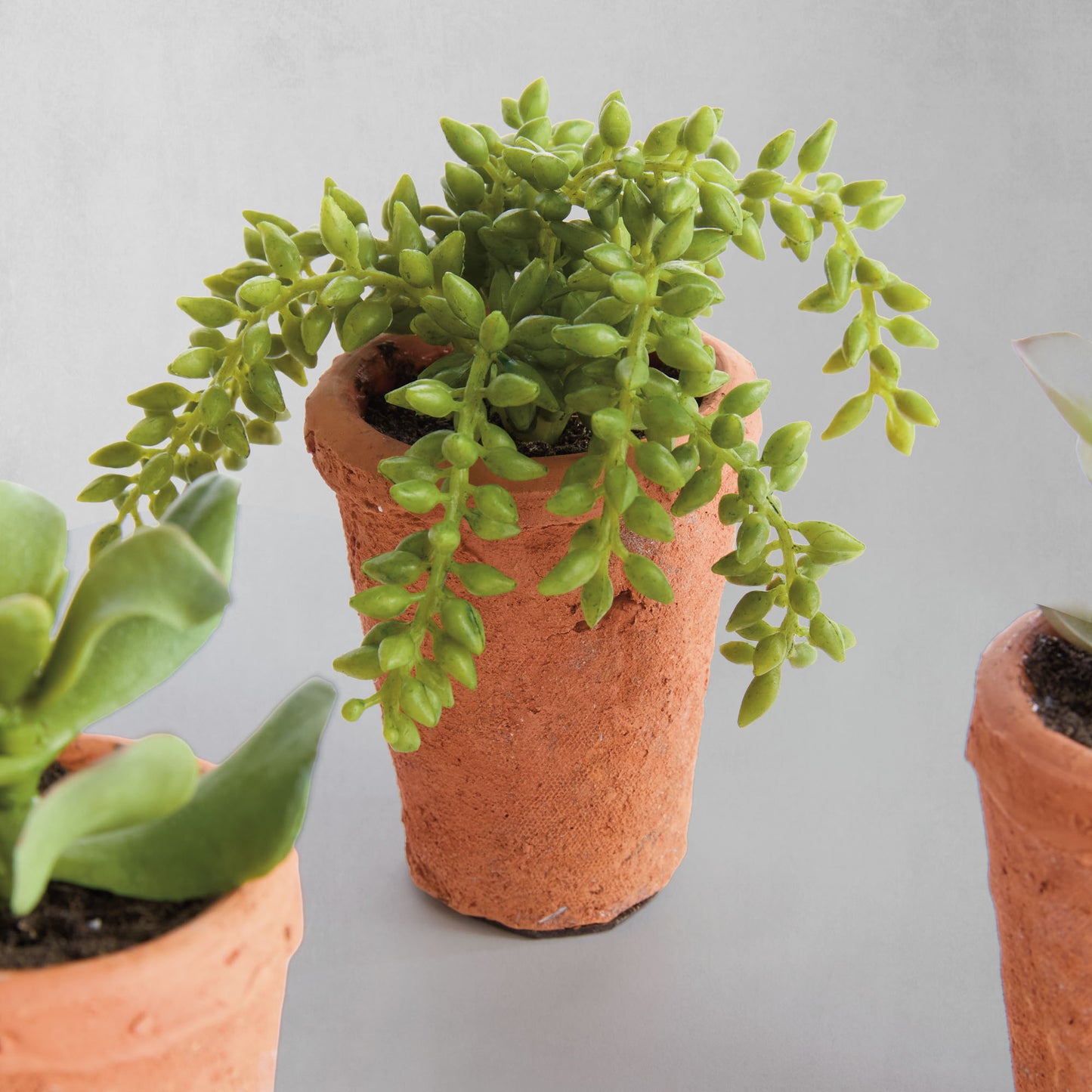 Mini green faux succulent pots (set of 6) - stylish home accent (Image7).