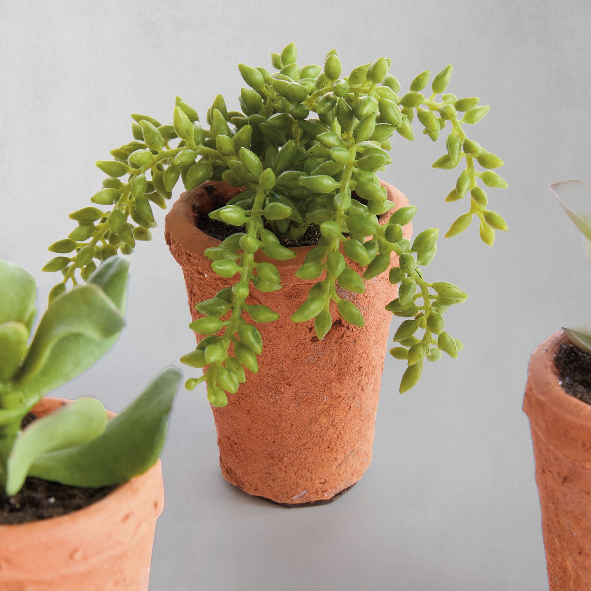 Mini green faux succulent pots (set of 6) - stylish home accent (Image7).