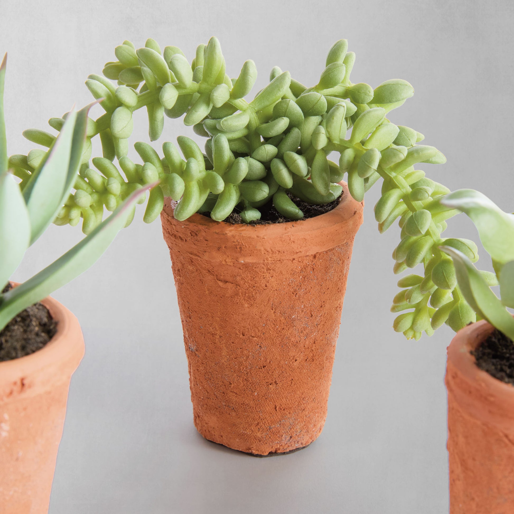 Mini green faux succulent pots (set of 6) - stylish home accent (Image8).
