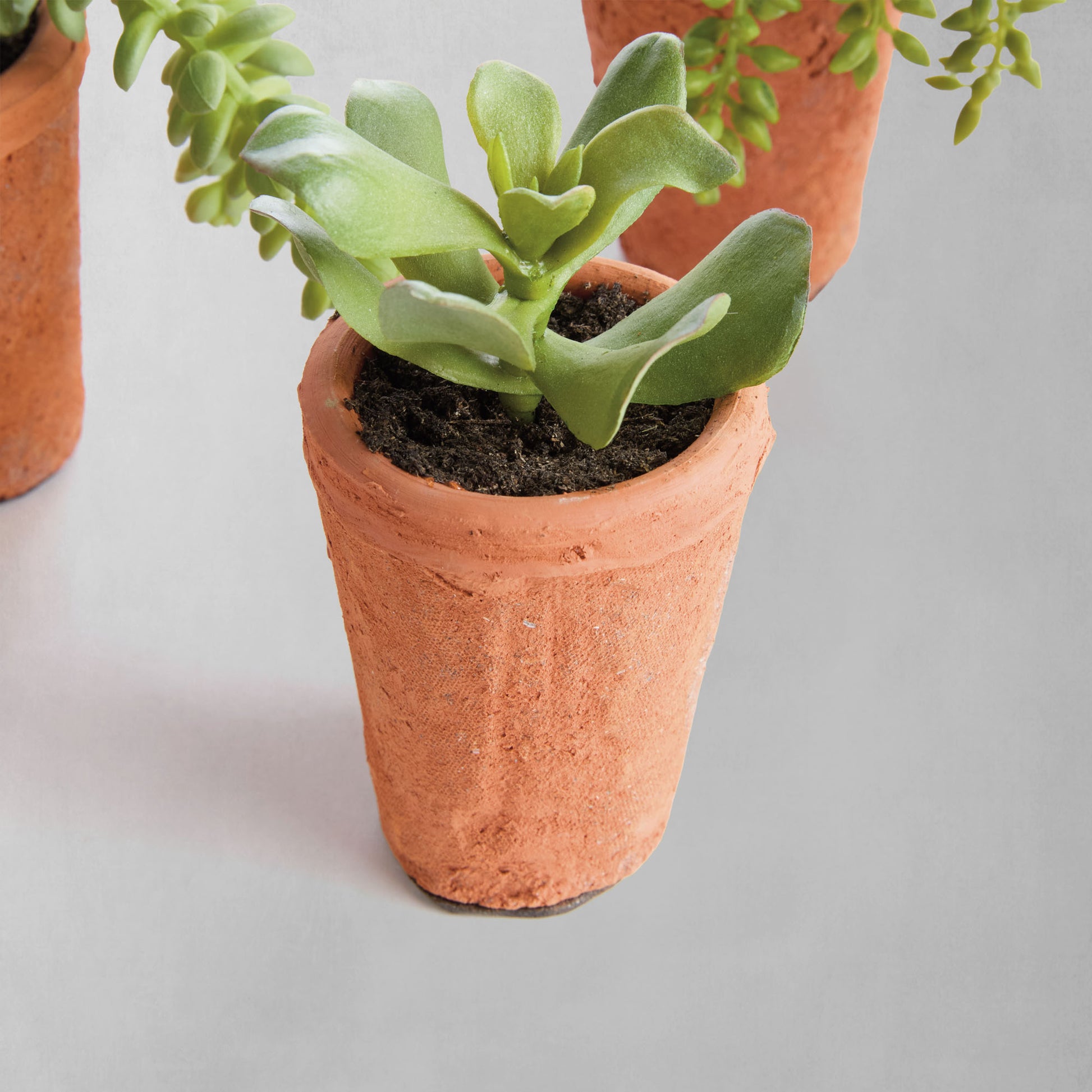 Mini green faux succulent pots (set of 6) - stylish home accent (Image9).