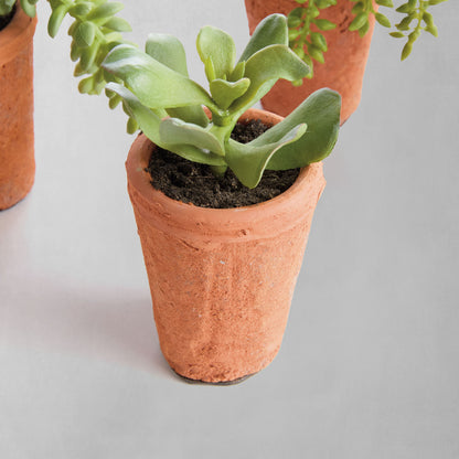 Mini green faux succulent pots (set of 6) - stylish home accent (Image9).