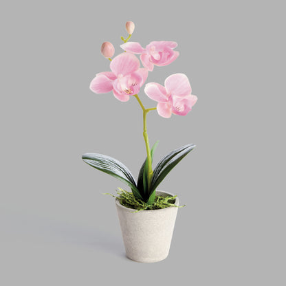 Mini light pink faux phalaenopsis orchid potted plants (set of 4) - stylish home accent (Image2).