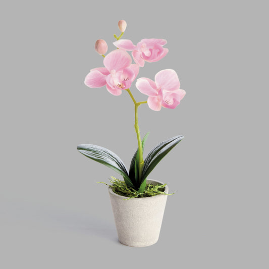 Mini light pink faux phalaenopsis orchid potted plants (set of 4) - stylish home accent (Image2).