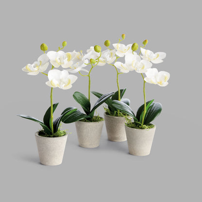 Mini white faux phalaenopsis orchids in concrete pots (set of 4) - stylish home accent (Image1).
