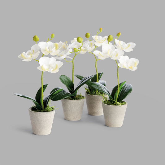 Mini white faux phalaenopsis orchids in concrete pots (set of 4) - stylish home accent (Image1).
