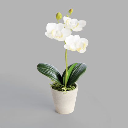 Mini white faux phalaenopsis orchids in concrete pots (set of 4) - stylish home accent (Image2).