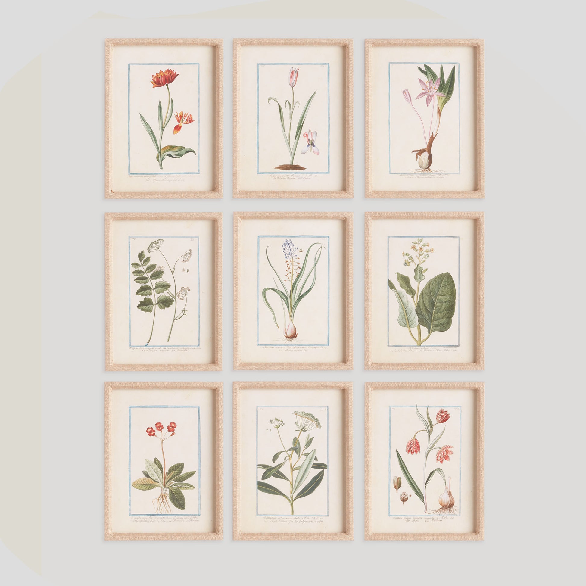 Multicolor botanical prints linen-wrapped frame (set of 9) - stylish home accent (Image1).