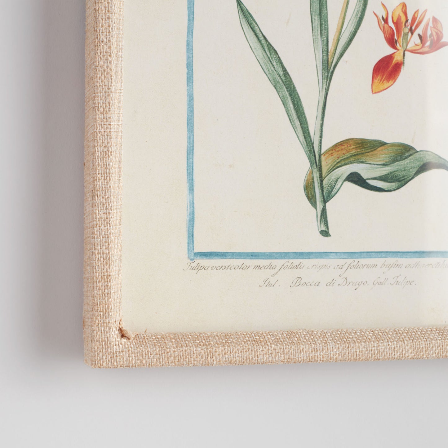Multicolor botanical prints linen-wrapped frame (set of 9) - stylish home accent (Image2).