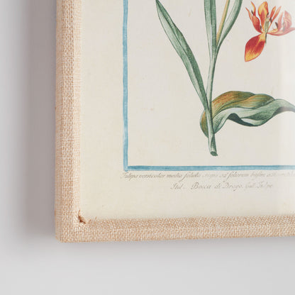 Multicolor botanical prints linen-wrapped frame (set of 9) - stylish home accent (Image2).