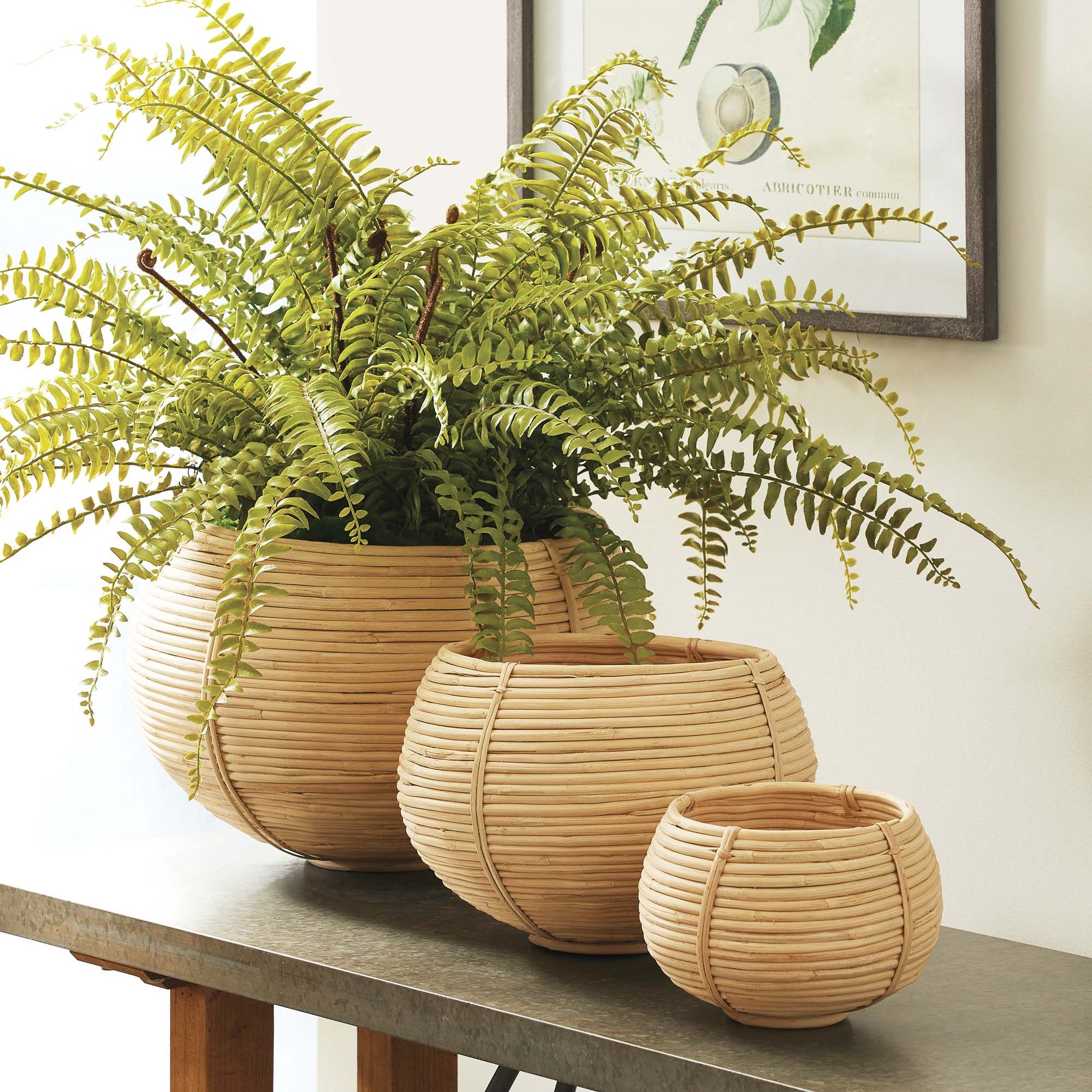Natural rattan plant baskets (set of 3) - stylish home accent (Image3).