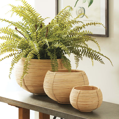 Natural rattan plant baskets (set of 3) - stylish home accent (Image3).