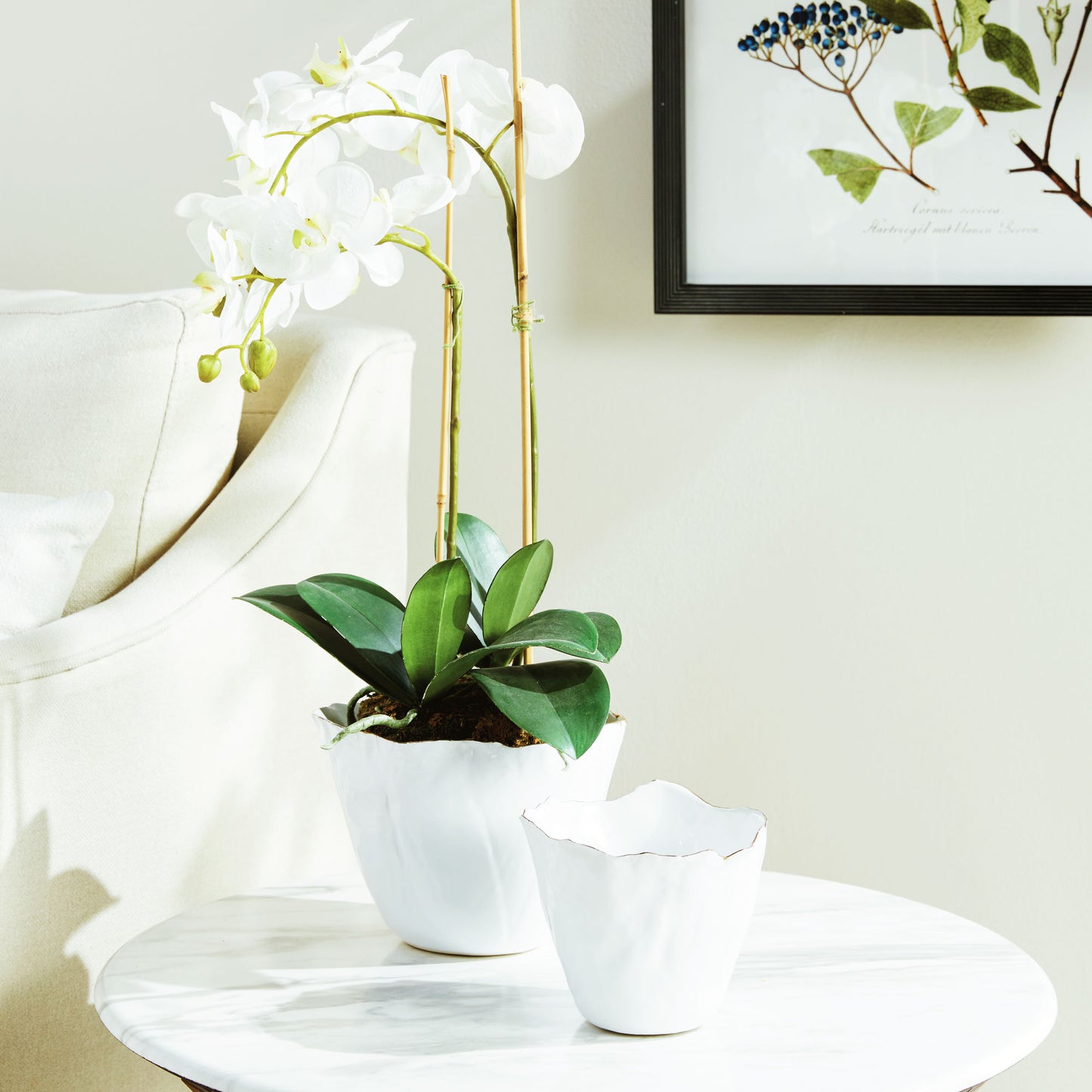 Organic white ceramic cachepots, set of two, stylized on table with orchid.